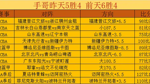 “李永波羽毛球公开赛在沈城召开新闻发布会”